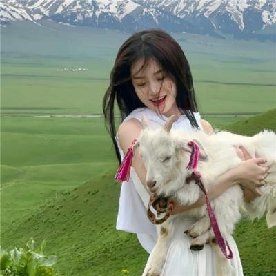 鹰狼突击队